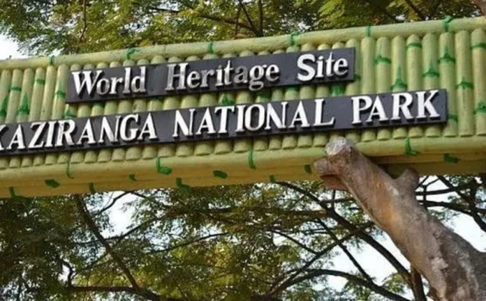 Kaziranga National Park